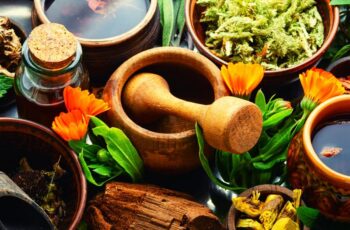 Herbal Medicine Workshops​