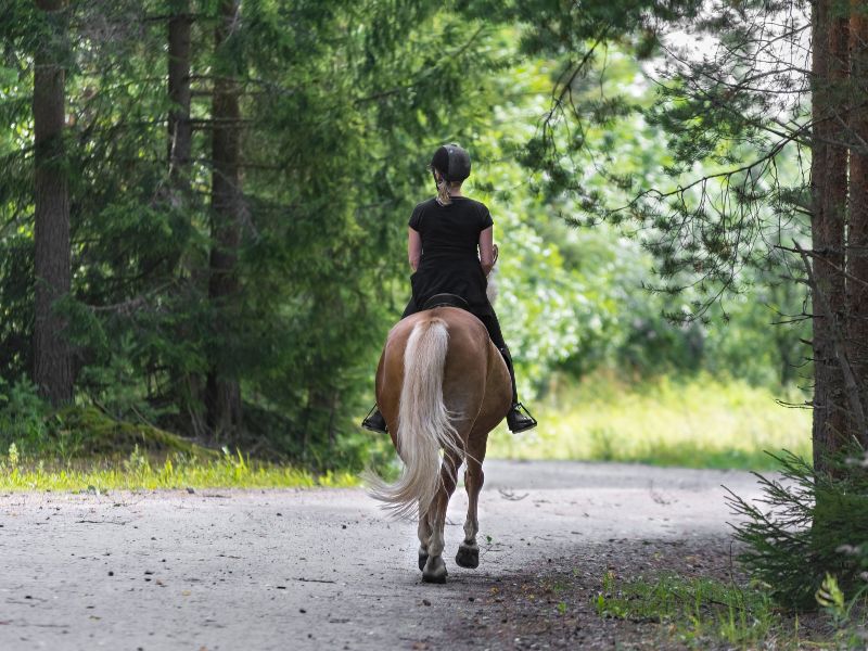 Horseback Riding in the Sierra de Lobos